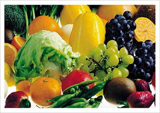 fruitsandveggies2sm.JPG