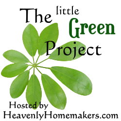 littlegreenproject3.jpg