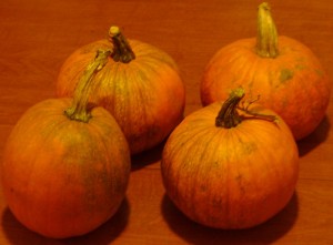 pumpkinsforapenny