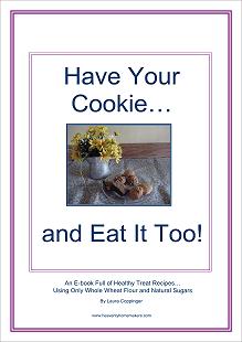 haveyourcookiecoversm