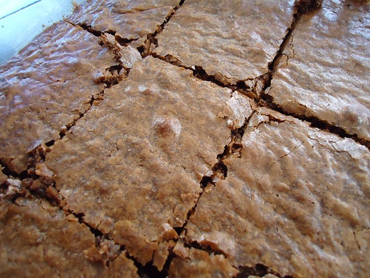 brownies