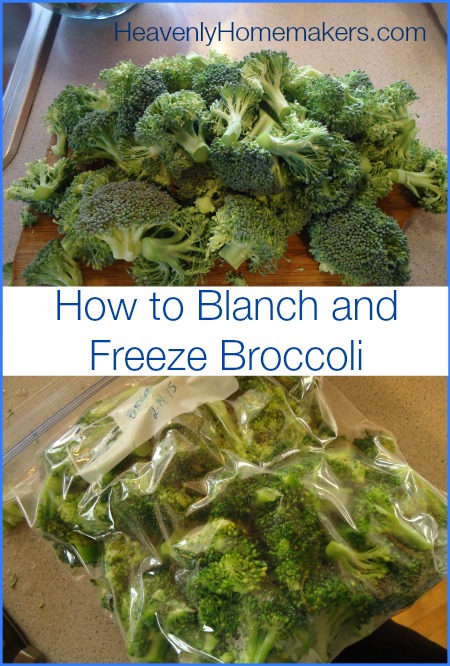 You can use your prepared broccoli for soups and stir fry. The work is ...
